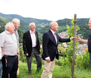 Weingutbesitzer Gerhard Strobel erläutert bei einem Rundgang durch den Weinberg MdB Peter Götz den Weinanbau auf dem "Weisenbacher Kapf".